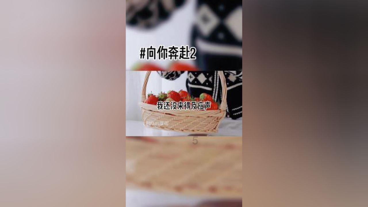 嘉日单词