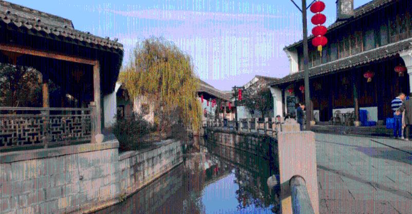 僵尸跳跳跳